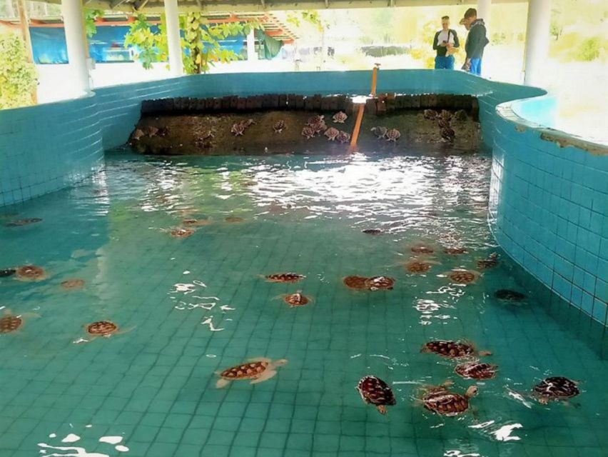 Phuket: Bamboo Rafting, Monkey Cave, and ATV Option - The Sea Turtle Conservation Center