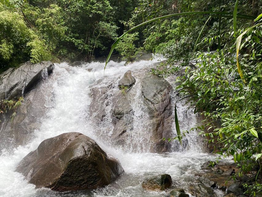 Phuket: Bamboo Rafting, Monkey Cave, and ATV Option - Guides, Transport, and Group Size