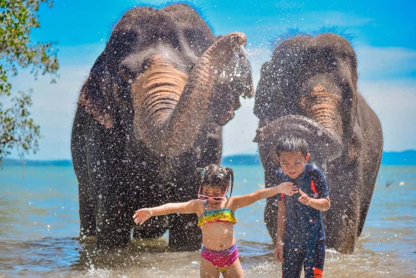 Phuket:Beach walk with elephants, rain & care. 2.5 hours - Key points at a glance