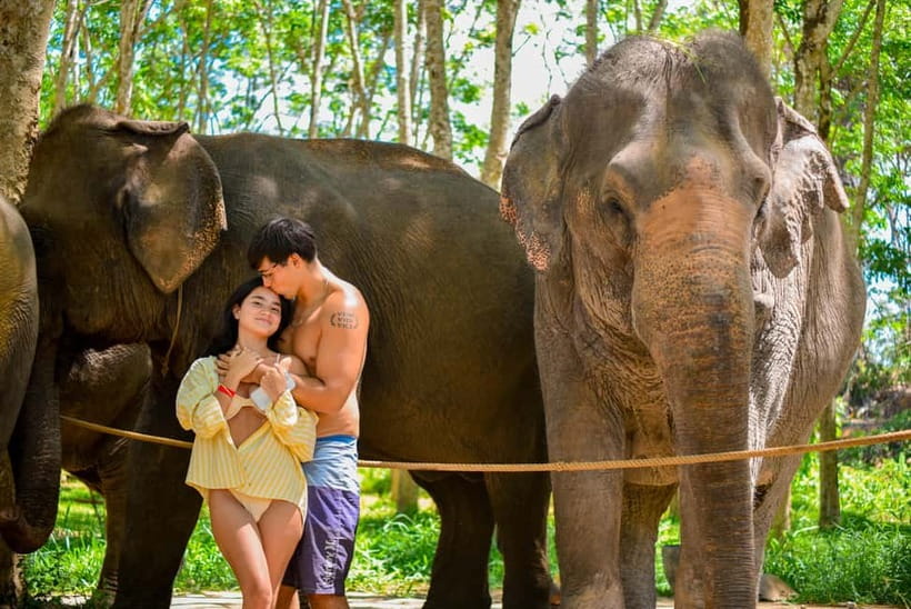 Phuket:Beach walk with elephants, rain & care. 2.5 hours - A coastal elephant program with a clear purpose