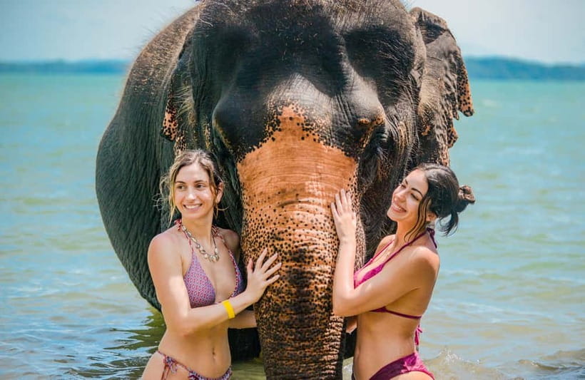 Phuket:Beach walk with elephants, rain & care. 2.5 hours - Walking from the trees to the private beach