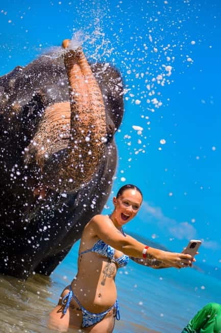 Phuket:Beach walk with elephants, rain & care. 2.5 hours - Bathing, brushing, and the sea session
