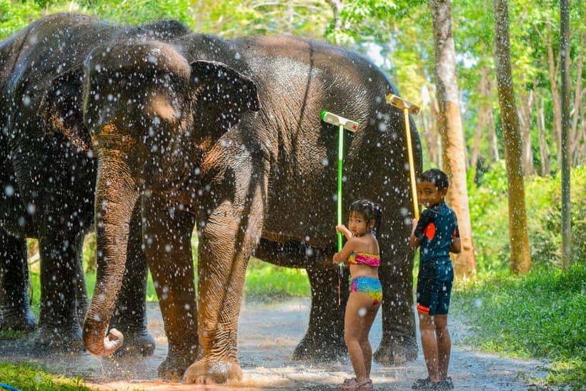 Phuket:Beach walk with elephants, rain & care. 2.5 hours - The ethical question you should ask yourself