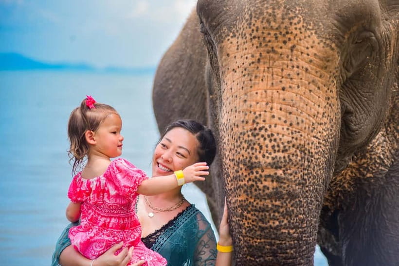 Phuket:Beach walk with elephants, rain & care. 2.5 hours - Starting with food, facts, and elephant manners