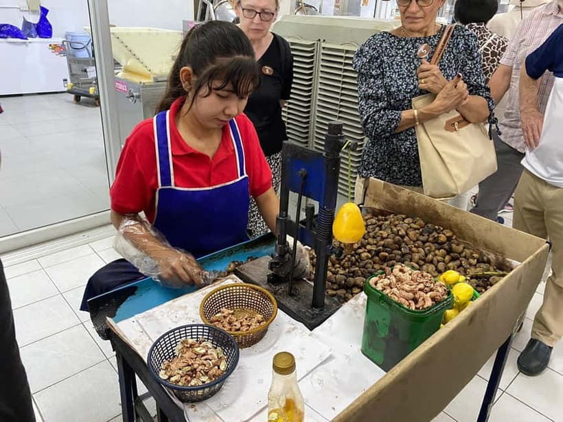 Phuket City Tour with Night Market Visit & Elephant Feeding - Key points to know before booking
