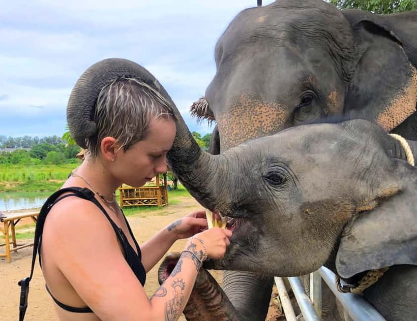 Phuket City Tour with Night Market Visit & Elephant Feeding - Wat Chalong and Phuket’s spiritual center