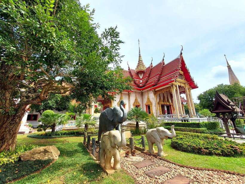Phuket City Tour with Viewpoints, Temples & Elephant Feeding - Phuket Elephant Care: the main event