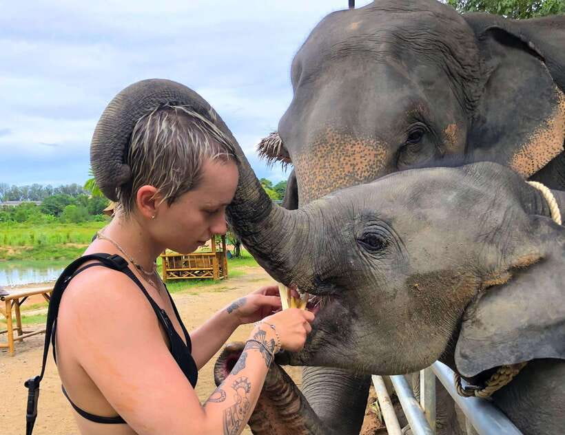 Phuket City Tour with Viewpoints, Temples & Elephant Feeding - Guides, group size, and pace