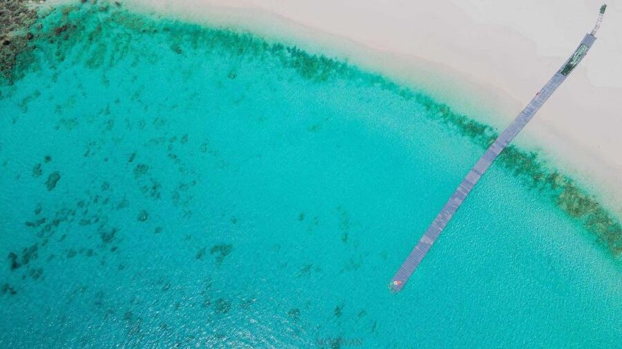 Phuket: Coral & Racha Islands Day Trip By Speedboat - How good is the snorkeling?