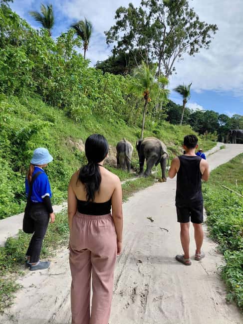 Phuket: Eco Guided Tour at Elephant Sanctuary - Why the no-bathing policy matters