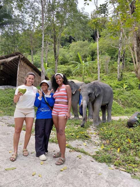Phuket: Eco Guided Tour at Elephant Sanctuary - Meeting the elephants in their setting