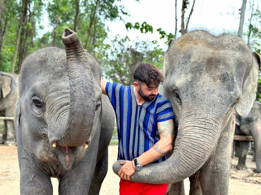 Phuket: Elephant Experience with Lunch or Dinner and Pickup - Key points to know before you book