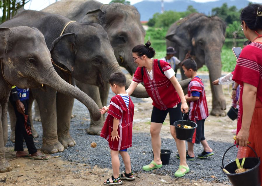 Phuket: Elephant Experience with Lunch or Dinner and Pickup - Who will enjoy this Phuket elephant experience?