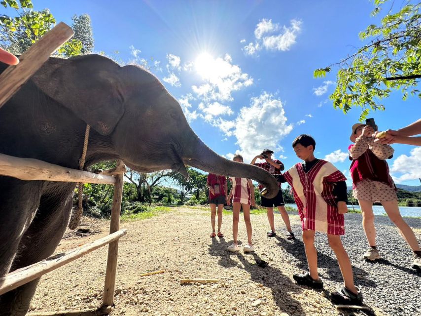 Phuket: Elephant Experience with Lunch or Dinner and Pickup - Meeting the elephants at Kerchor Elephant Family Park