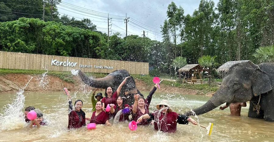 Phuket: Elephant Experience with Lunch or Dinner and Pickup - Walking through the jungle with the elephants