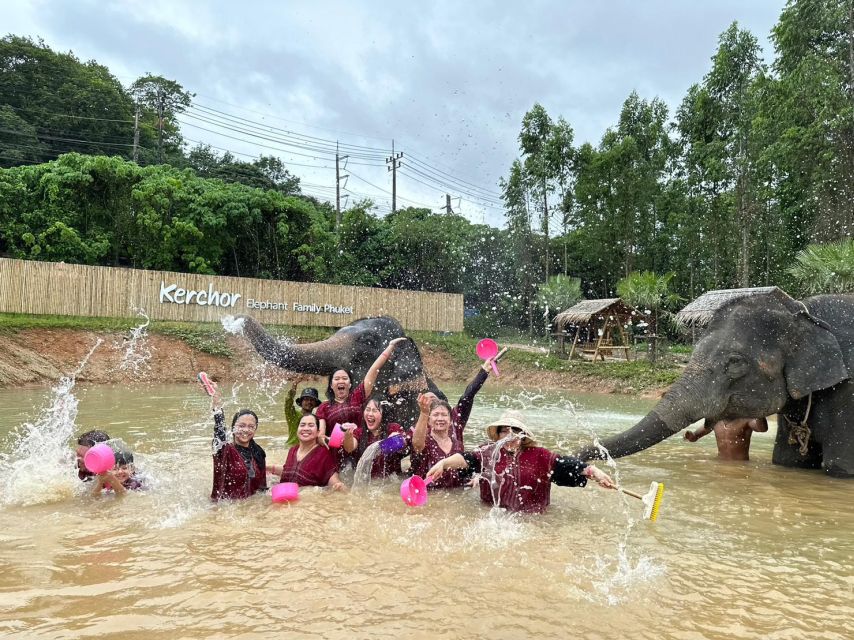 Phuket: Elephant Experience with Lunch or Dinner and Pickup - Herbal tea, mud, and a full soak