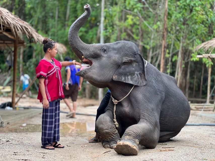 Phuket: Elephant Experience with Lunch or Dinner and Pickup - What to pack for the mud spa
