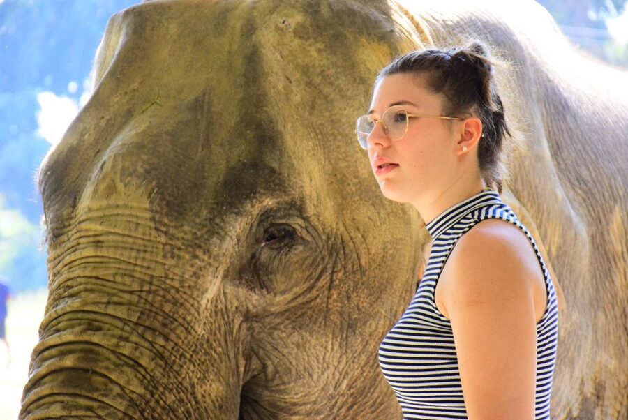 Phuket: Elephant Feeding Program - Preparing food for the elephants