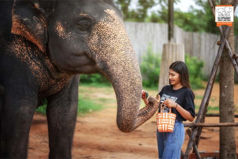 Phuket: Elephant Jungle Sanctuary Ethical Feeding Experience - Why the ethical claims matter