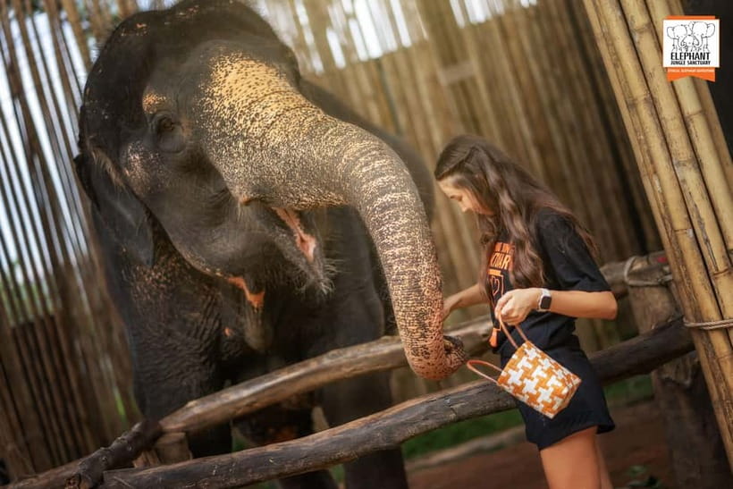 Phuket: Elephant Jungle Sanctuary Ethical Feeding Experience - Should you book the Feed Me program?