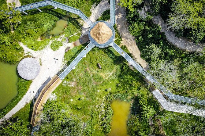Phuket Elephant Sanctuary Canopy Walkway Tour - Is $61.96 a fair price?