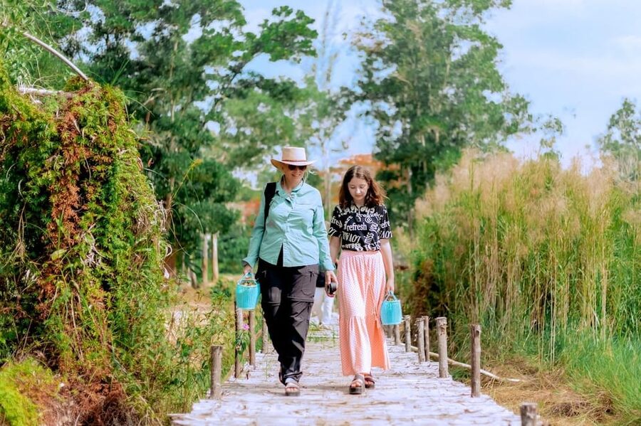 Phuket: Elephant Sanctuary Feed and Bathe Gentle Giants - What the $56 price covers