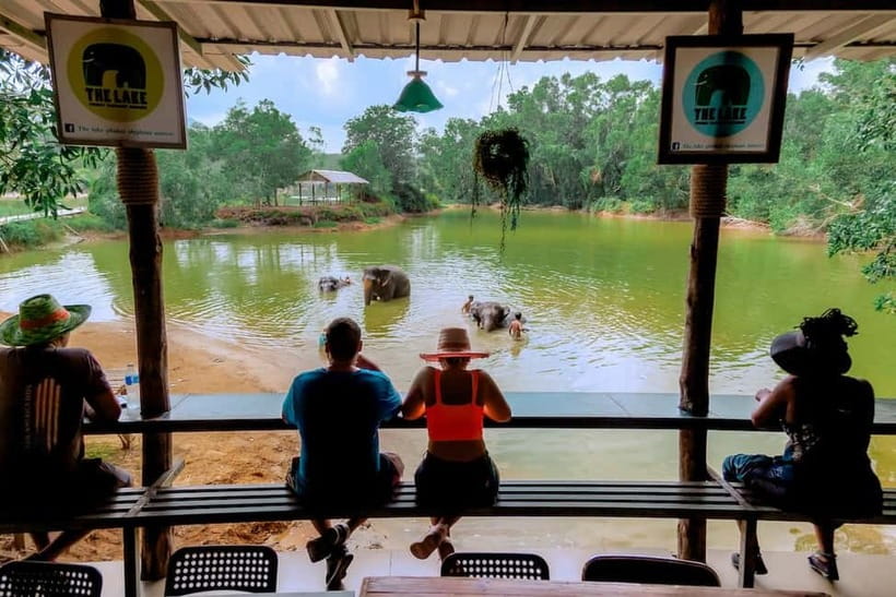 Phuket: Elephant Sanctuary Feed and Bathe Gentle Giants - Who will enjoy this sanctuary visit