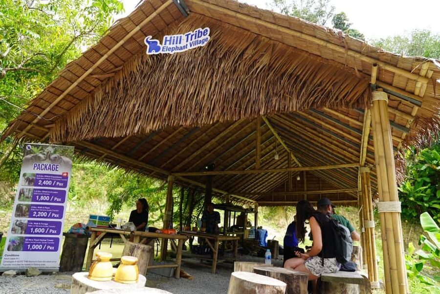 Phuket: Elephant Sanctuary Guided Tour with Hotel Transfers - Why the no-riding policy matters