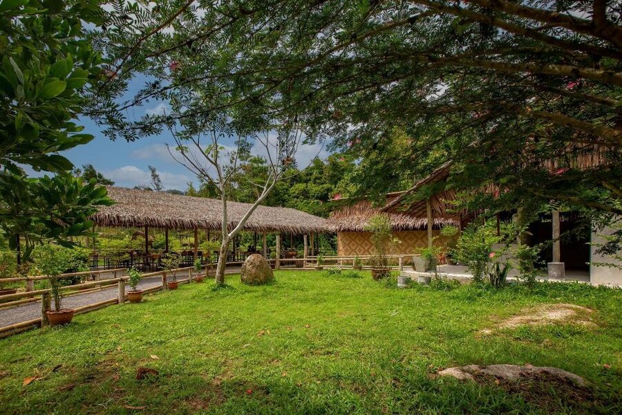 Phuket: Elephant Sanctuary Guided Tour with Hotel Transfers - What the guides add to the visit