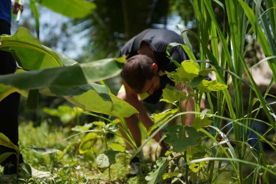 Phuket: Elephant Sanctuary Guided Tour with Hotel Transfers - Choosing morning or afternoon