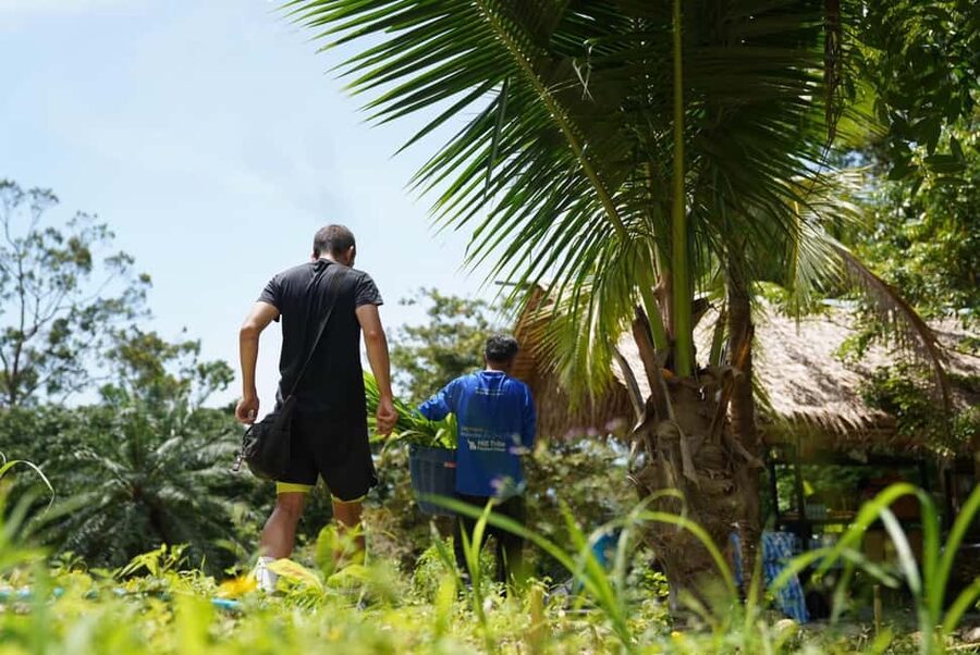 Phuket: Elephant Sanctuary Guided Tour with Hotel Transfers - Hotel transfers and the hilltop meeting point