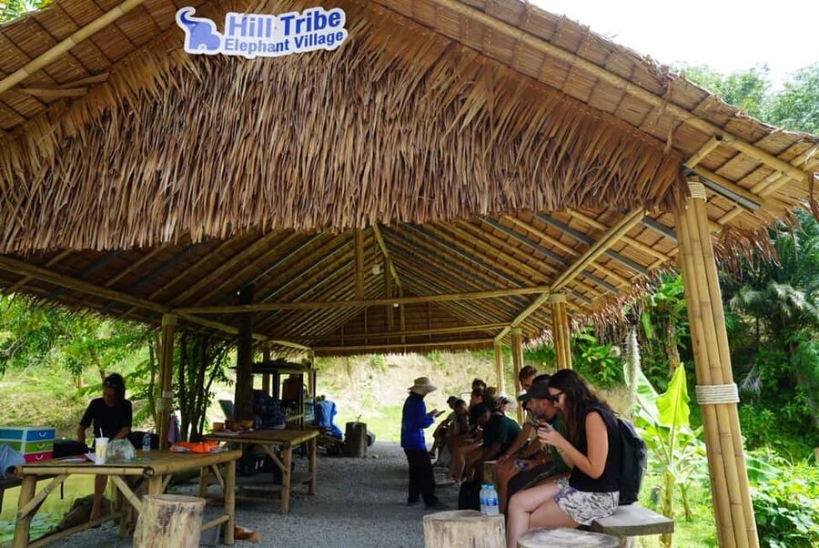 Phuket: Elephant Sanctuary Guided Tour with Hotel Transfers - The one-hour program, step by step