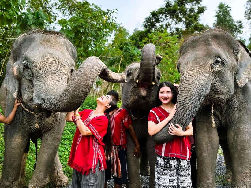 Phuket : Experience feeding and bathing elephants 1.5 Hrs. - The one-hour van ride from Phuket