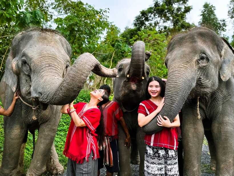 Phuket : Experience feeding and bathing elephants 1.5 Hrs. - Food, photos, and the value of the $48 price