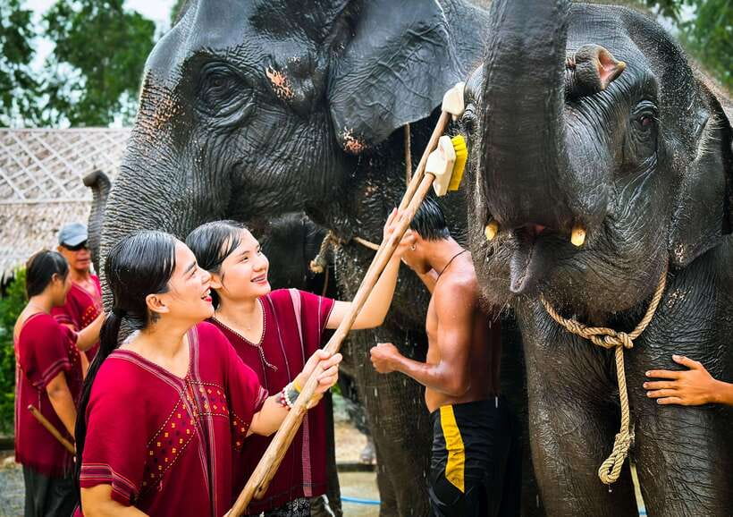 Phuket : Experience feeding and bathing elephants 1.5 Hrs. - Who will enjoy this and who may not