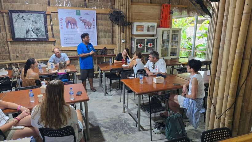 Phuket: Feeding Elephants at Phuket Elephant Care - Key points at a glance