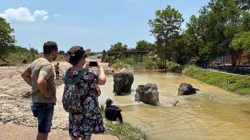 Phuket: Freedom Elephant Reserve - Ethereal Nature Walk - How the transport affects your day
