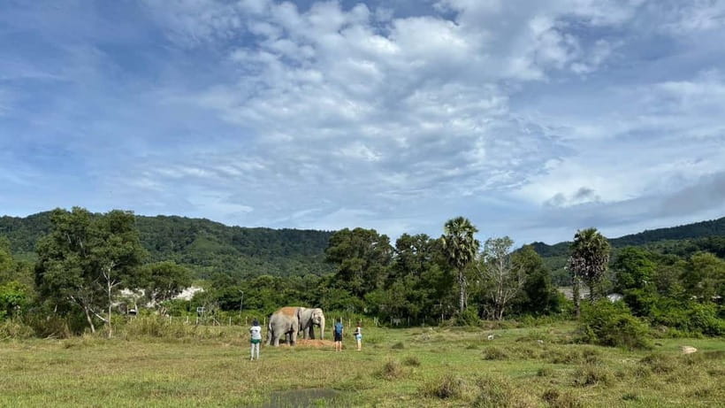Phuket: Freedom Elephant Reserve - Ethereal Nature Walk - Who will enjoy this visit