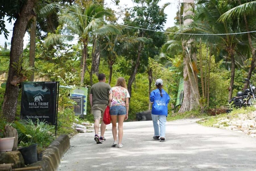Phuket: Guide Tour to Patong Elephant Sanctuary - What $45 gets you