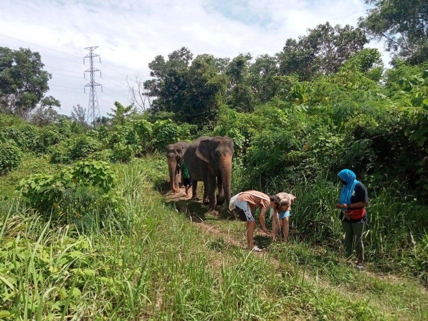 Phuket: Guide Tour to Patong Elephant Sanctuary - Who will appreciate this visit most