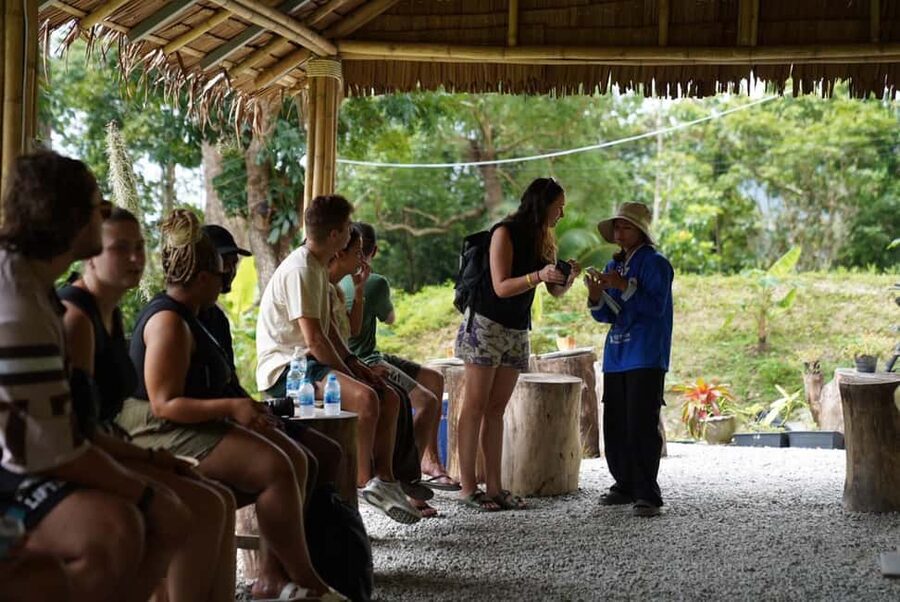 Phuket: Guided Tour to Elephant Sanctuary & Hotel Transfer - Feeding rice balls and learning elephant behavior