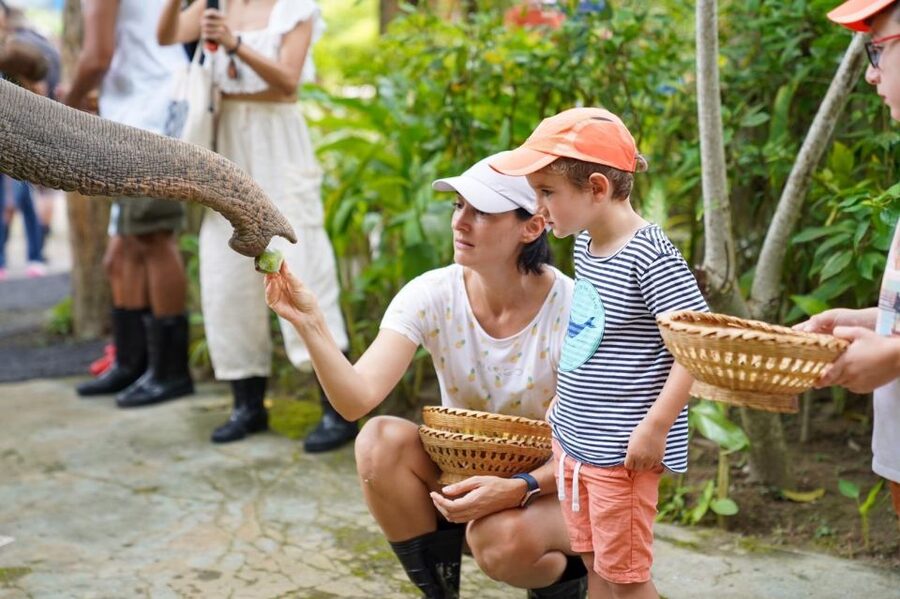 Phuket: Guided Tour to Elephant Sanctuary & Hotel Transfer - Walking, bathing, and photographing the elephants