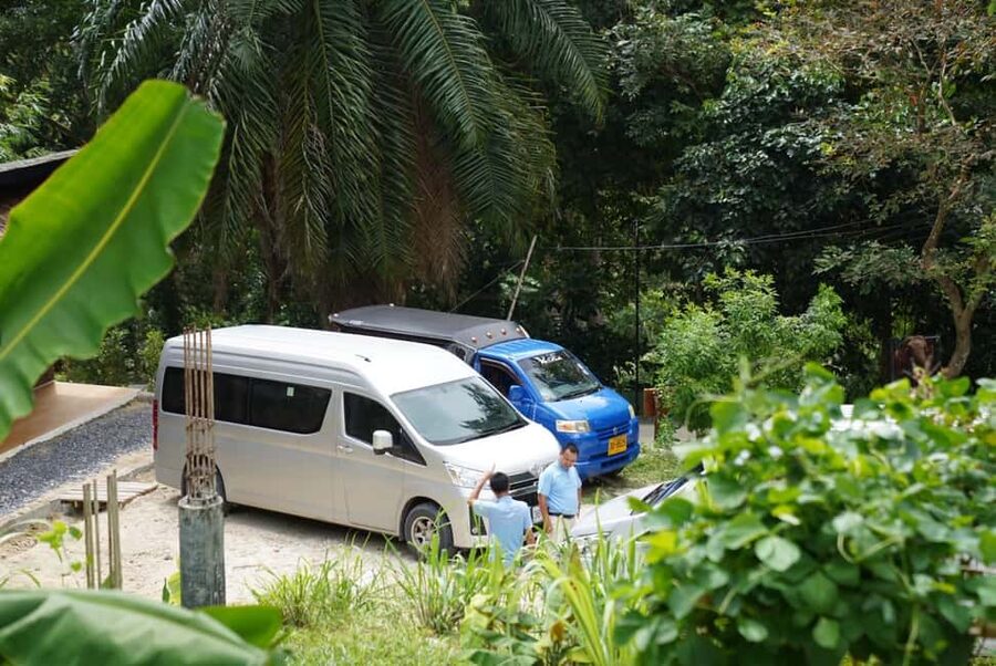 Phuket : Guided Tour to Elephant Sanctuary with Transfers - Walking beside elephants in their natural setting