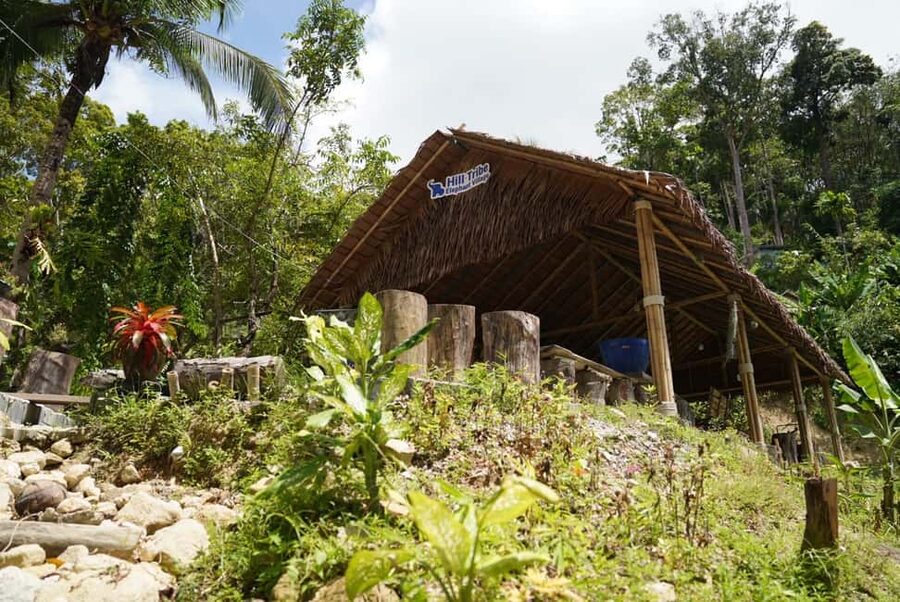 Phuket : Guided Tour to Elephant Sanctuary with Transfers - Cutting banana trees and gathering grass