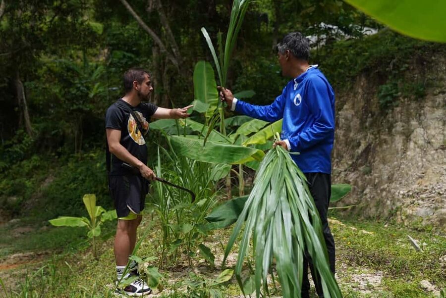 Phuket : Guided Tour to Elephant Sanctuary with Transfers - What makes the ethical approach meaningful