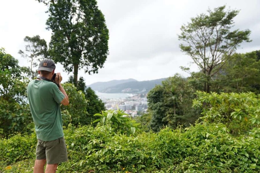 Phuket : Guided Tour to Elephant Sanctuary with Transfers - Morning or afternoon: choosing your time