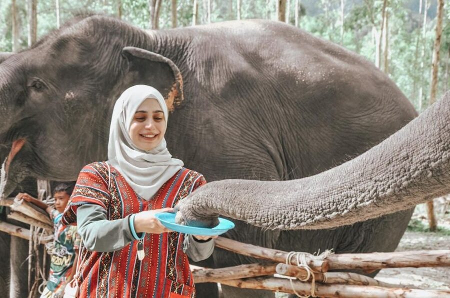 Phuket: Half Day or 2-Hour Ethical Elephant Care Sanctuary - What to pack and what to expect on the day