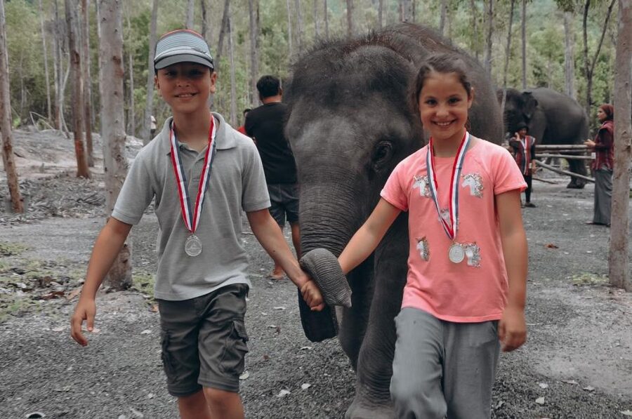 Phuket: Half Day or 2-Hour Ethical Elephant Care Sanctuary - Nai Dee Elephant Care Park: what the visit is really about