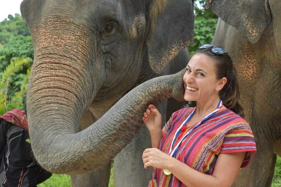 Phuket: Half Day or 2-Hour Ethical Elephant Care Sanctuary - Thai cooking and meals make the price go further