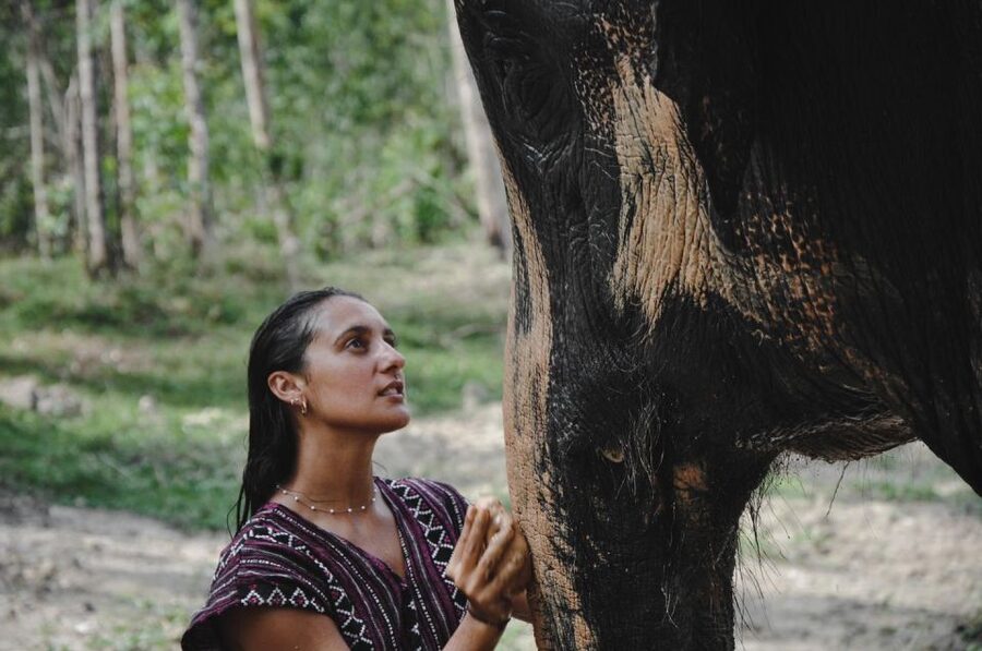Phuket: Half Day or 2-Hour Ethical Elephant Care Sanctuary - Hotel pickup can be convenient, but it may be slow